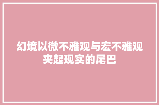 幻境以微不雅观与宏不雅观夹起现实的尾巴