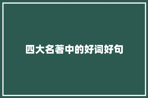 四大名著中的好词好句