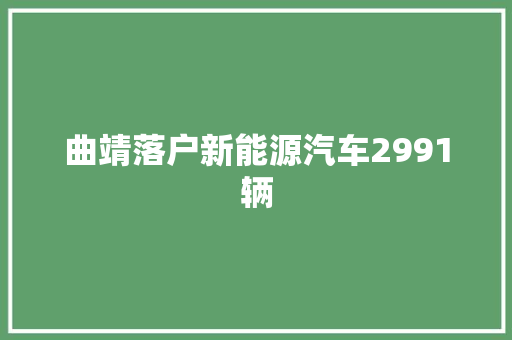 曲靖落户新能源汽车2991辆
