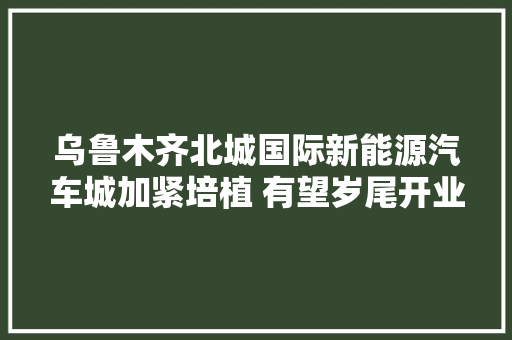 乌鲁木齐北城国际新能源汽车城加紧培植 有望岁尾开业