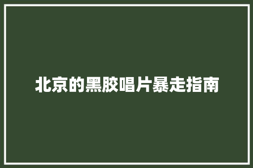 北京的黑胶唱片暴走指南