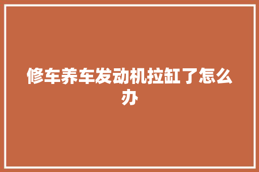 修车养车发动机拉缸了怎么办