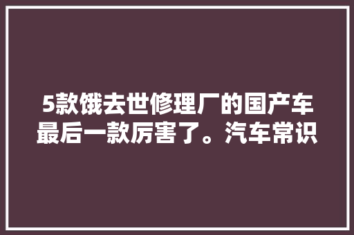5款饿去世修理厂的国产车最后一款厉害了。汽车常识分享