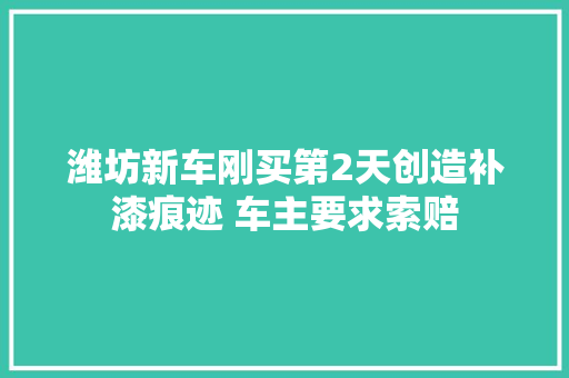 潍坊新车刚买第2天创造补漆痕迹 车主要求索赔