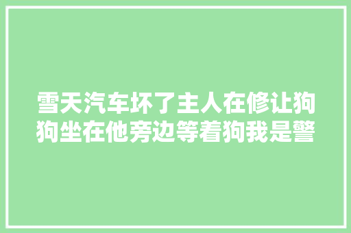 雪天汽车坏了主人在修让狗狗坐在他旁边等着狗我是警示牌