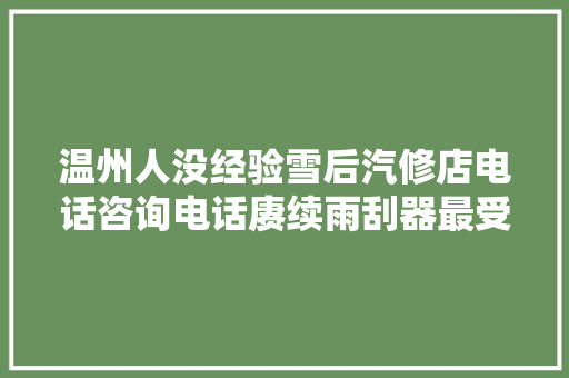 温州人没经验雪后汽修店电话咨询电话赓续雨刮器最受伤