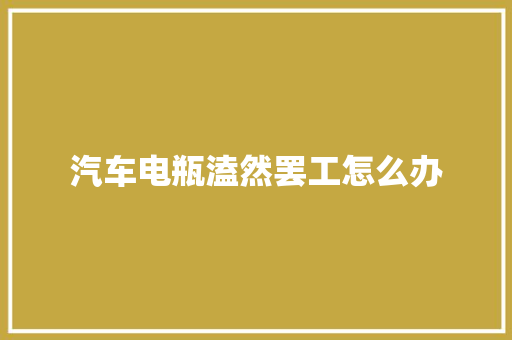汽车电瓶溘然罢工怎么办