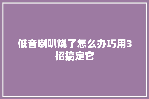 低音喇叭烧了怎么办巧用3招搞定它