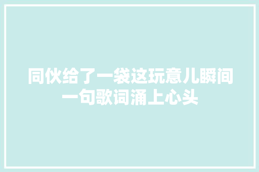 同伙给了一袋这玩意儿瞬间一句歌词涌上心头