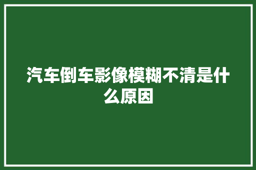 汽车倒车影像模糊不清是什么原因