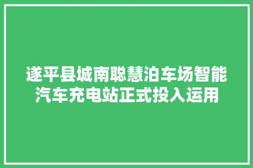 遂平县城南聪慧泊车场智能汽车充电站正式投入运用