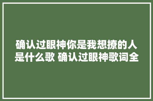 确认过眼神你是我想撩的人是什么歌 确认过眼神歌词全文 休闲娱乐