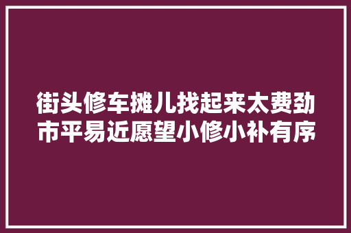 街头修车摊儿找起来太费劲市平易近愿望小修小补有序回归