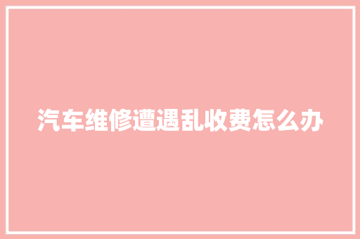汽车维修遭遇乱收费怎么办