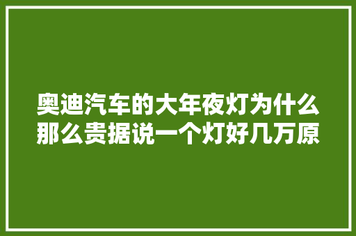 奥迪汽车的大年夜灯为什么那么贵据说一个灯好几万原因居然是这样