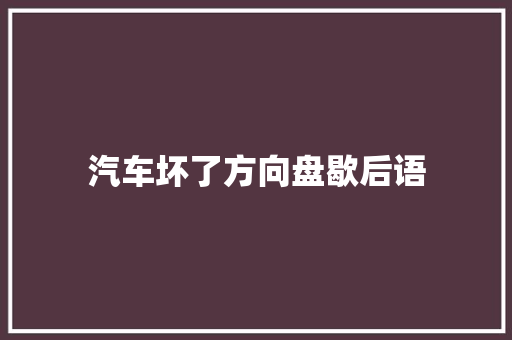 汽车坏了方向盘歇后语