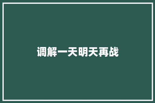 调解一天明天再战
