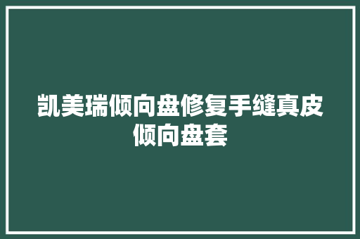 凯美瑞倾向盘修复手缝真皮倾向盘套 汽车知识