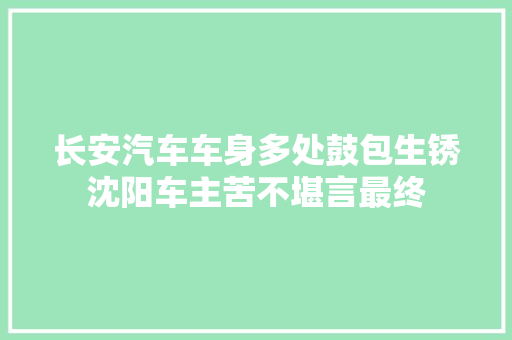 长安汽车车身多处鼓包生锈沈阳车主苦不堪言最终