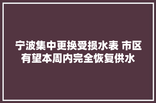 宁波集中更换受损水表 市区有望本周内完全恢复供水