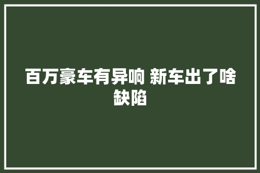 百万豪车有异响 新车出了啥缺陷 汽车知识