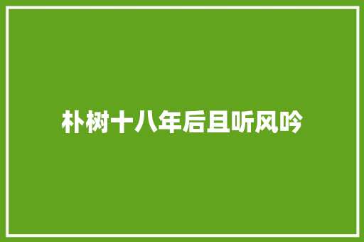 朴树十八年后且听风吟
