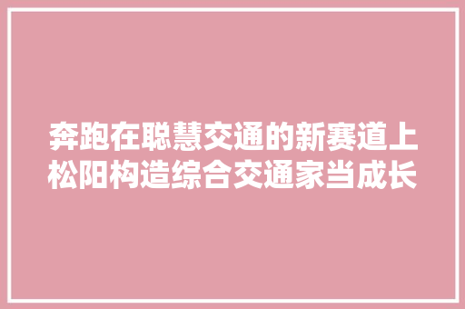 奔跑在聪慧交通的新赛道上松阳构造综合交通家当成长掠影