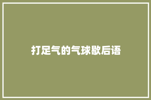 打足气的气球歇后语