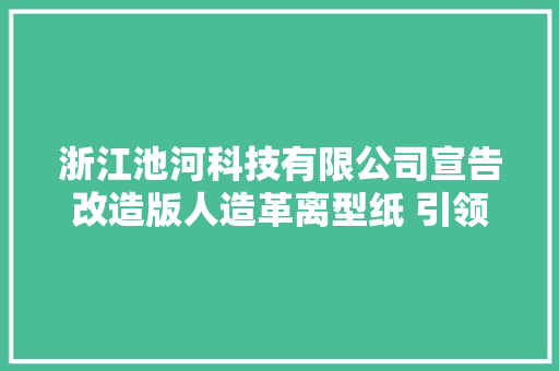 浙江池河科技有限公司宣告改造版人造革离型纸 引领汽车座椅新潮