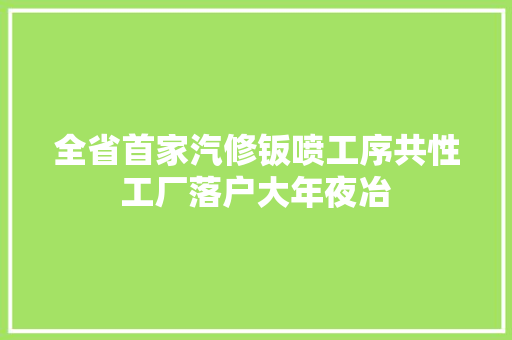 全省首家汽修钣喷工序共性工厂落户大年夜冶