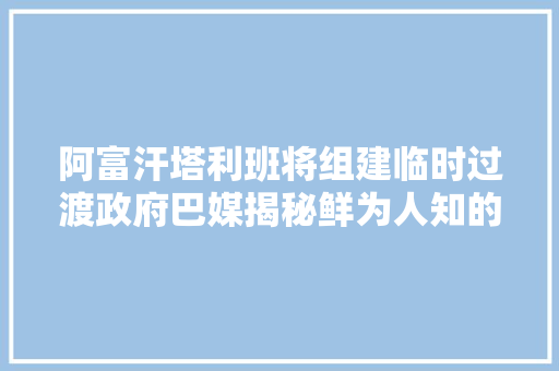 阿富汗塔利班将组建临时过渡政府巴媒揭秘鲜为人知的阿塔引诱层