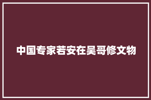 中国专家若安在吴哥修文物