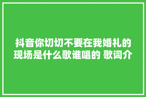 抖音你切切不要在我婚礼的现场是什么歌谁唱的 歌词介绍