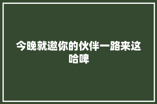 今晚就邀你的伙伴一路来这哈啤