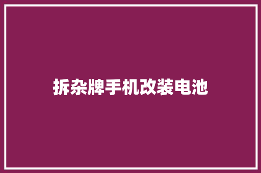 拆杂牌手机改装电池 汽车知识