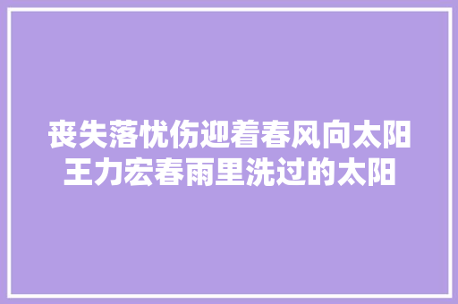 丧失落忧伤迎着春风向太阳王力宏春雨里洗过的太阳
