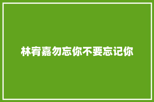 林宥嘉勿忘你不要忘记你