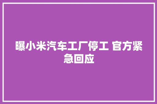 曝小米汽车工厂停工 官方紧急回应