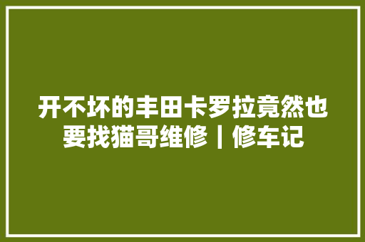 开不坏的丰田卡罗拉竟然也要找猫哥维修｜修车记