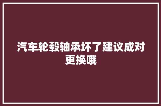 汽车轮毂轴承坏了建议成对更换哦