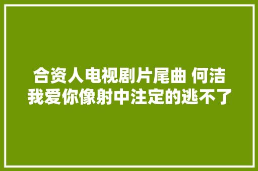 合资人电视剧片尾曲 何洁我爱你像射中注定的逃不了歌词