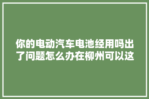 你的电动汽车电池经用吗出了问题怎么办在柳州可以这样