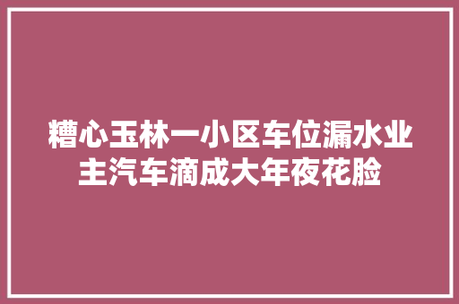 糟心玉林一小区车位漏水业主汽车滴成大年夜花脸