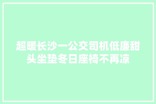 超暖长沙一公交司机低廉甜头坐垫冬日座椅不再凉
