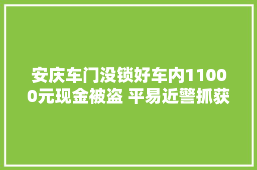 安庆车门没锁好车内11000元现金被盗 平易近警抓获拉门贼