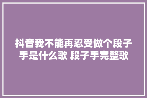 抖音我不能再忍受做个段子手是什么歌 段子手完整歌词一览