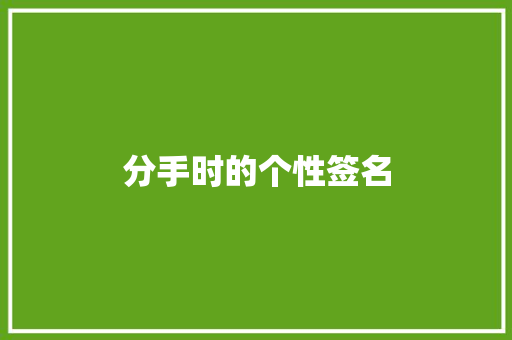 分手时的个性签名