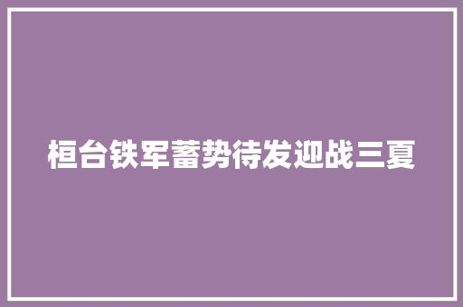 桓台铁军蓄势待发迎战三夏