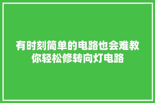 有时刻简单的电路也会难教你轻松修转向灯电路