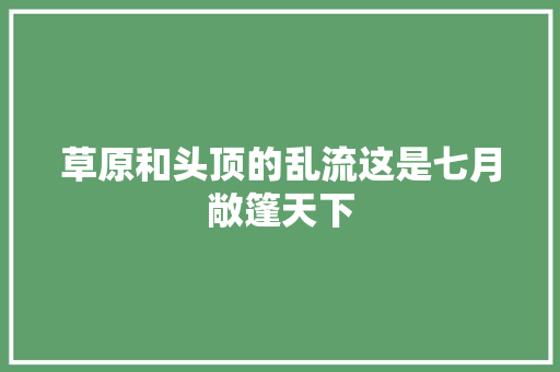 草原和头顶的乱流这是七月敞篷天下